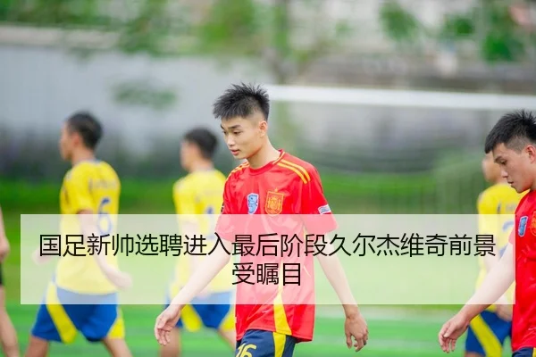 国足新帅选聘进入最后阶段久尔杰维奇前景受瞩目