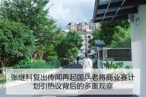 张继科复出传闻再起国乒老将商业赛计划引热议背后的多重观察